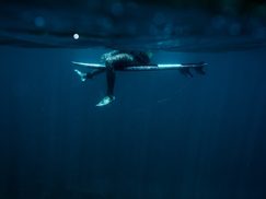 Descida no azul