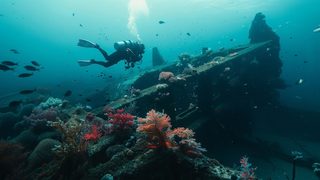 Snorkel em águas rasas e claras